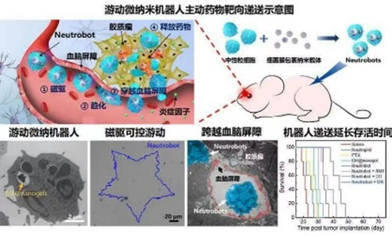 IMC月报 | 8181801威尼斯行业趋势速递202103